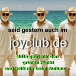 Die Rückkehr zu Joy